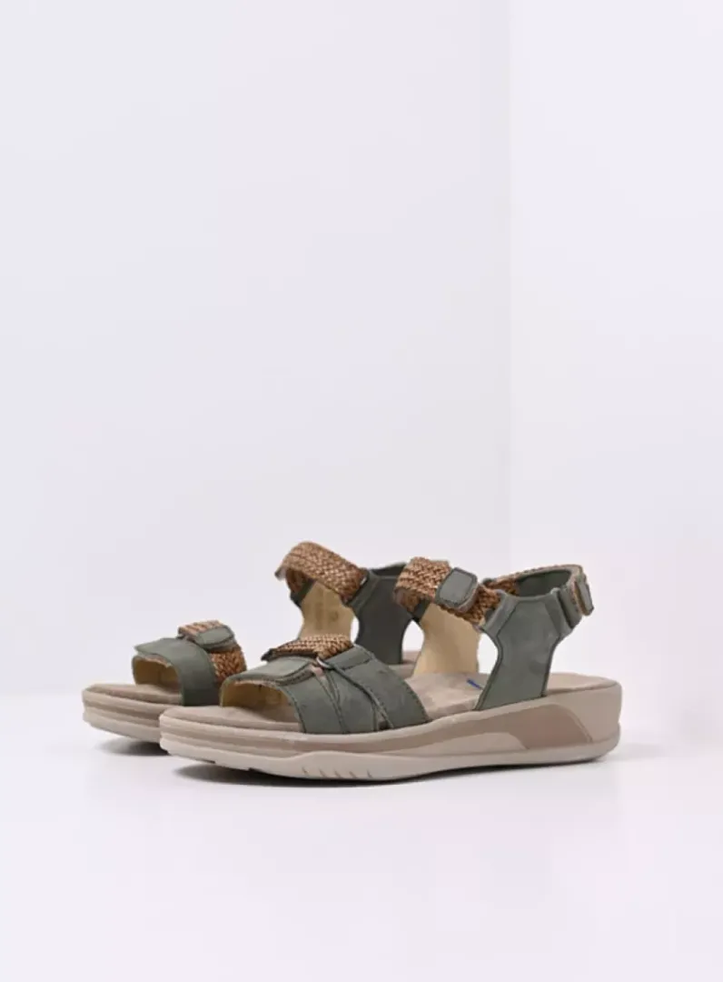 DAMES Wolky Sandalen<Acula - saliegroen nubuck